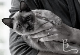 View more images in our gallery